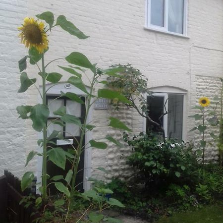 Mauds Cottage 1 West Raynham 외부 사진